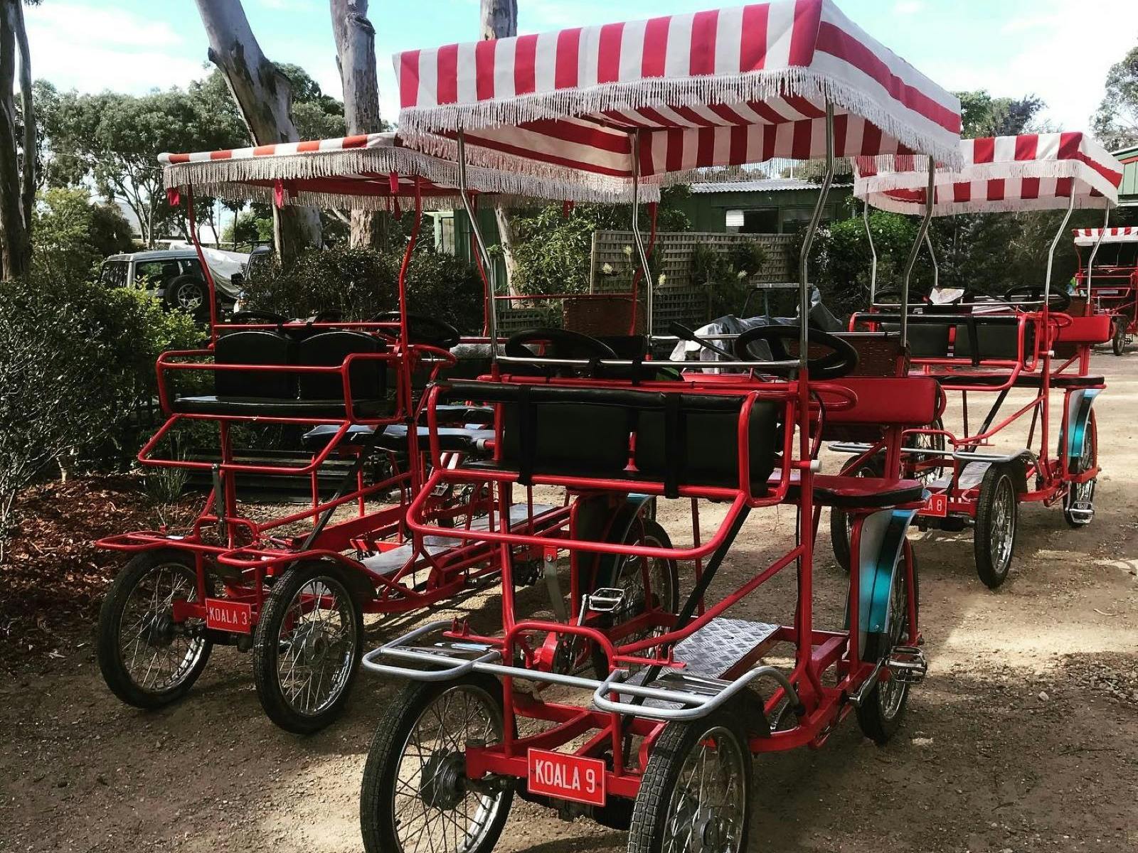 Bikes to hire