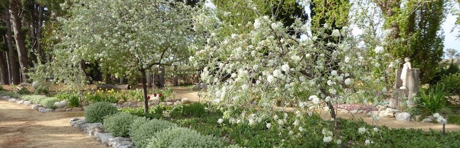 Limestone Coast Plant and Trade Fair
