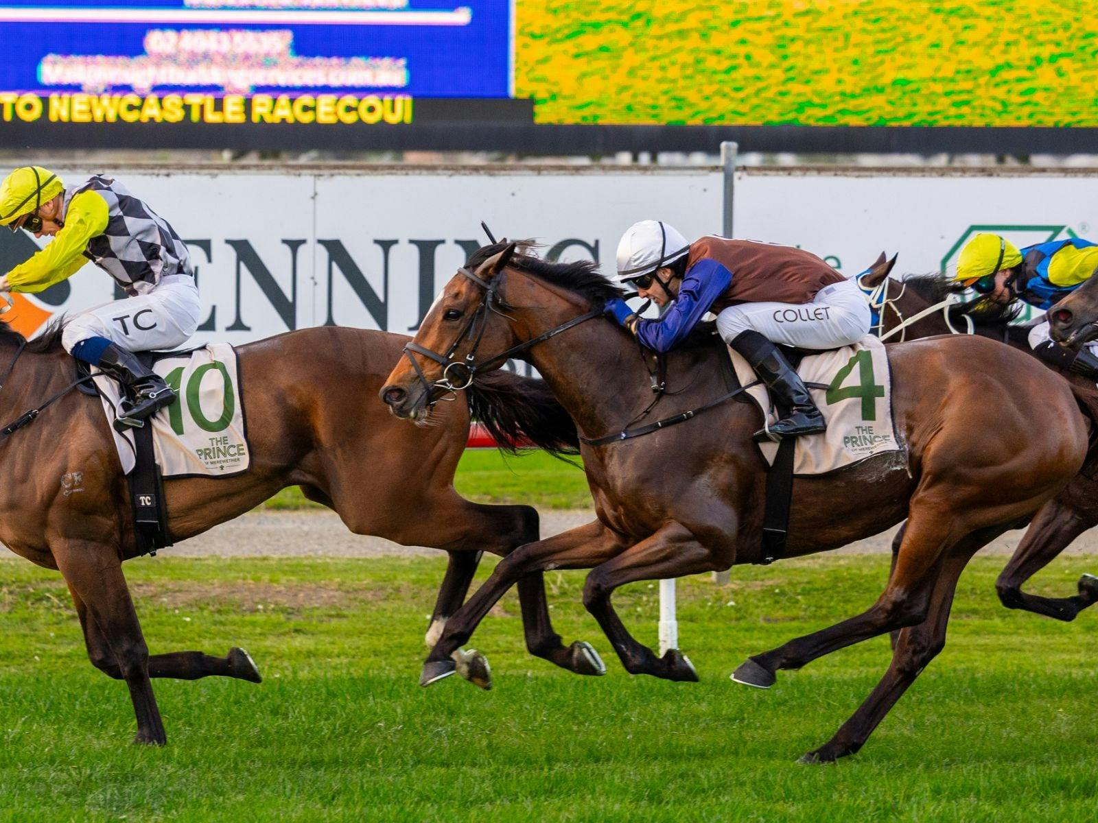 Crowds at Newcastle Racecourse