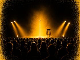 audience at show