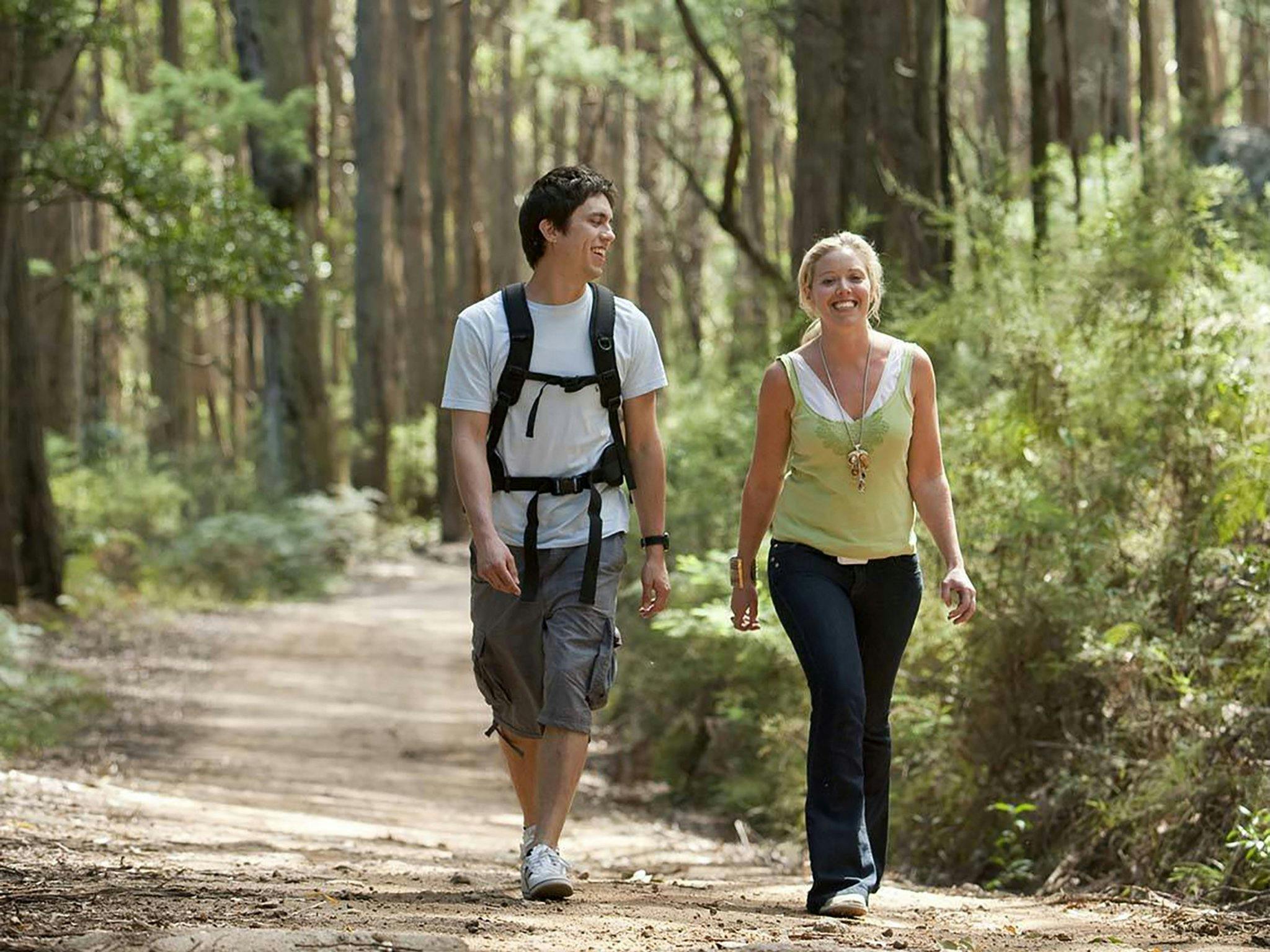 Tallarook State Forest