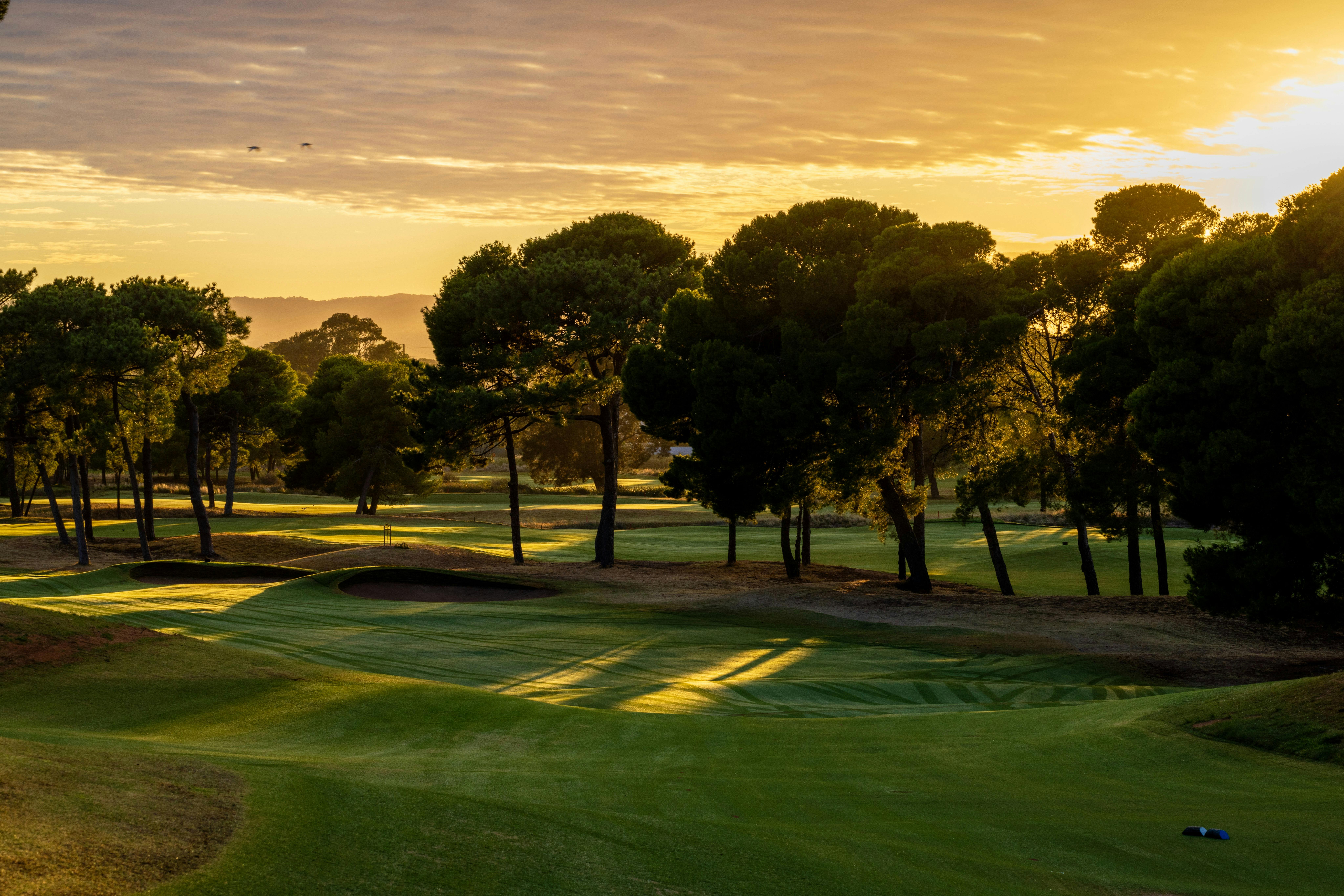 Glenelg GC
