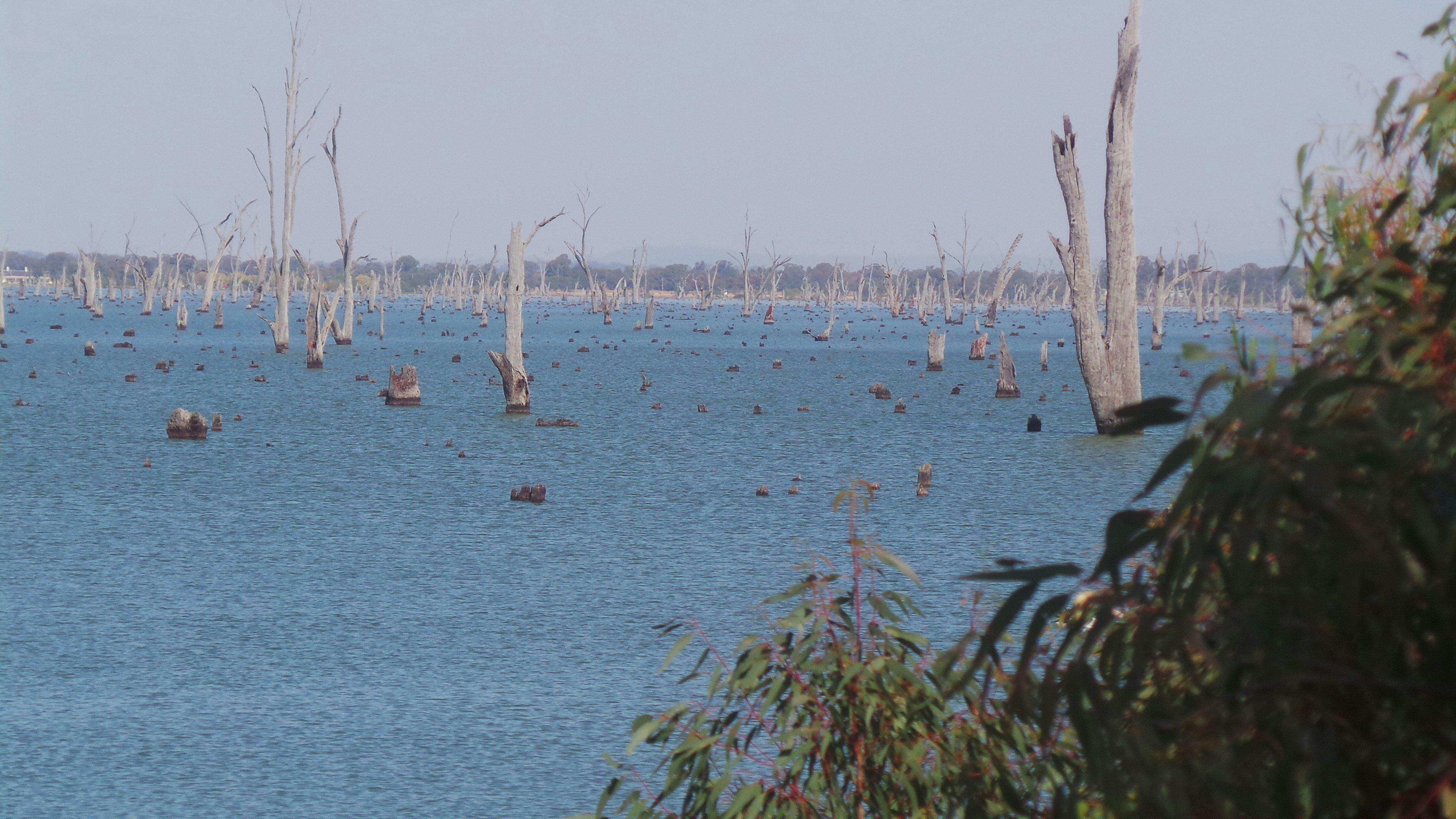 Lake Mulwala from Kyffins Reserve