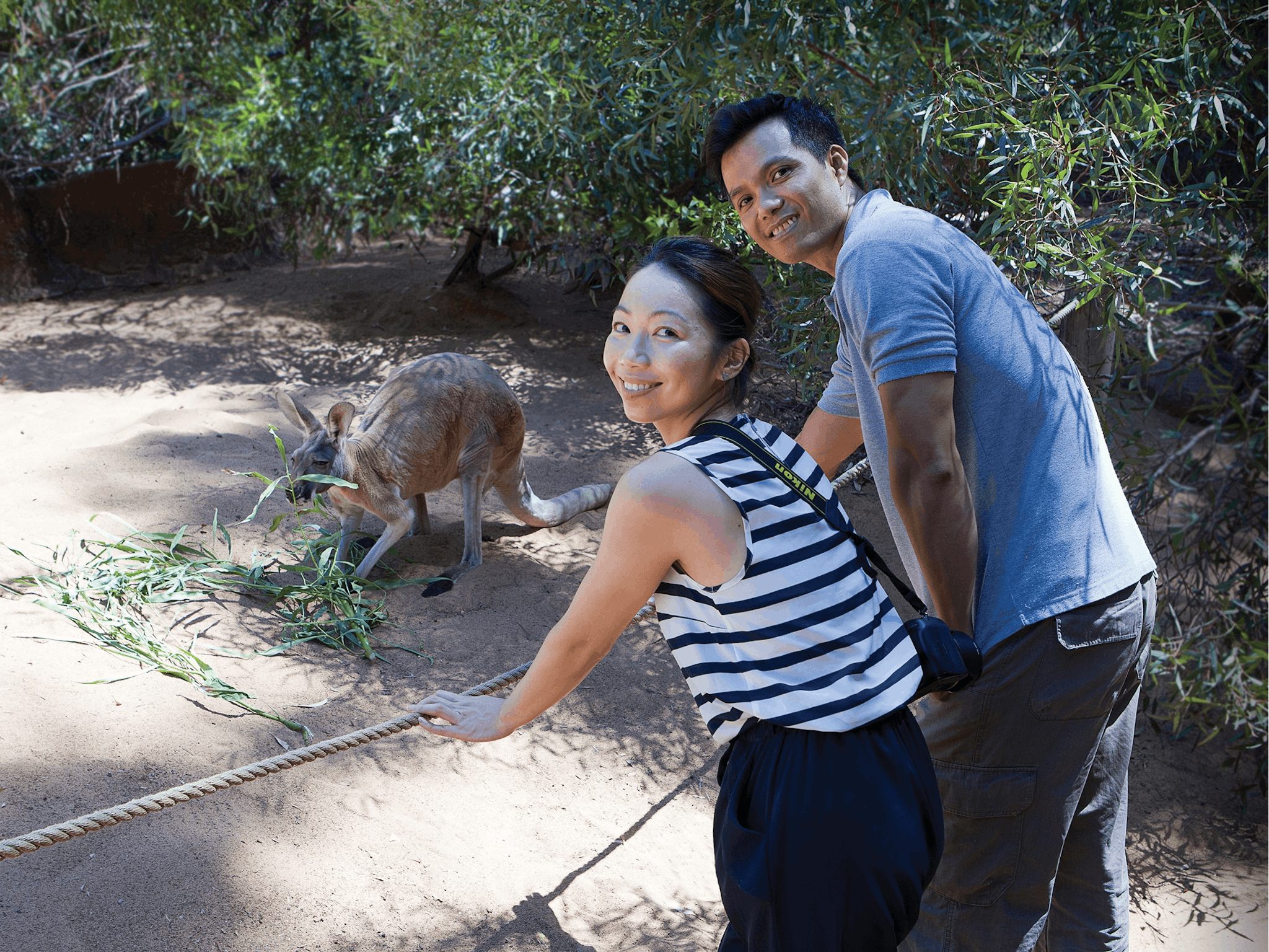 Perth Zoo, South Perth, Western Australia