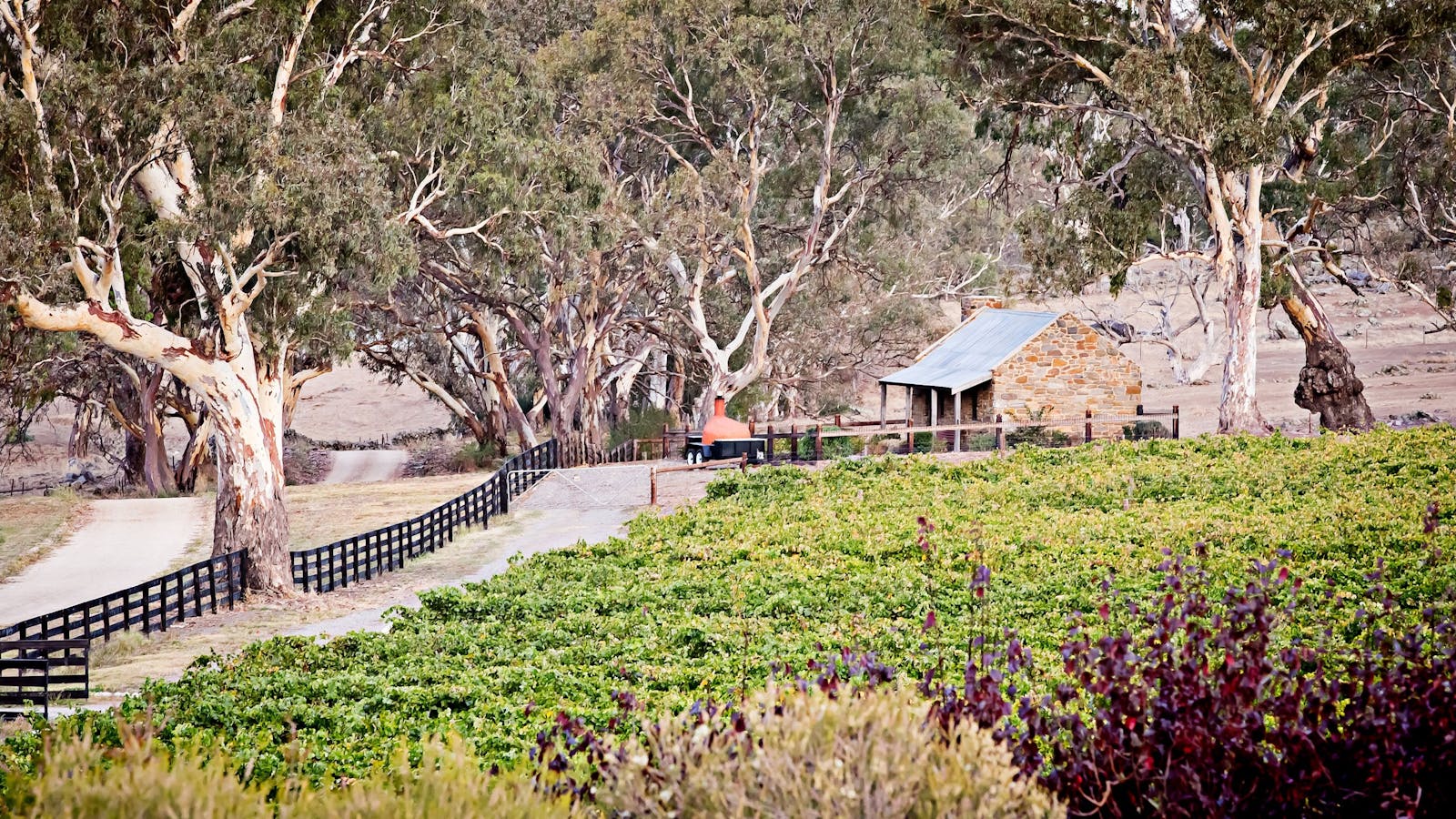 Brockenchack Wines Cellar Door