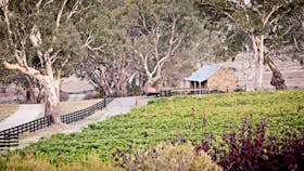 Brockenchack Wines Cellar Door