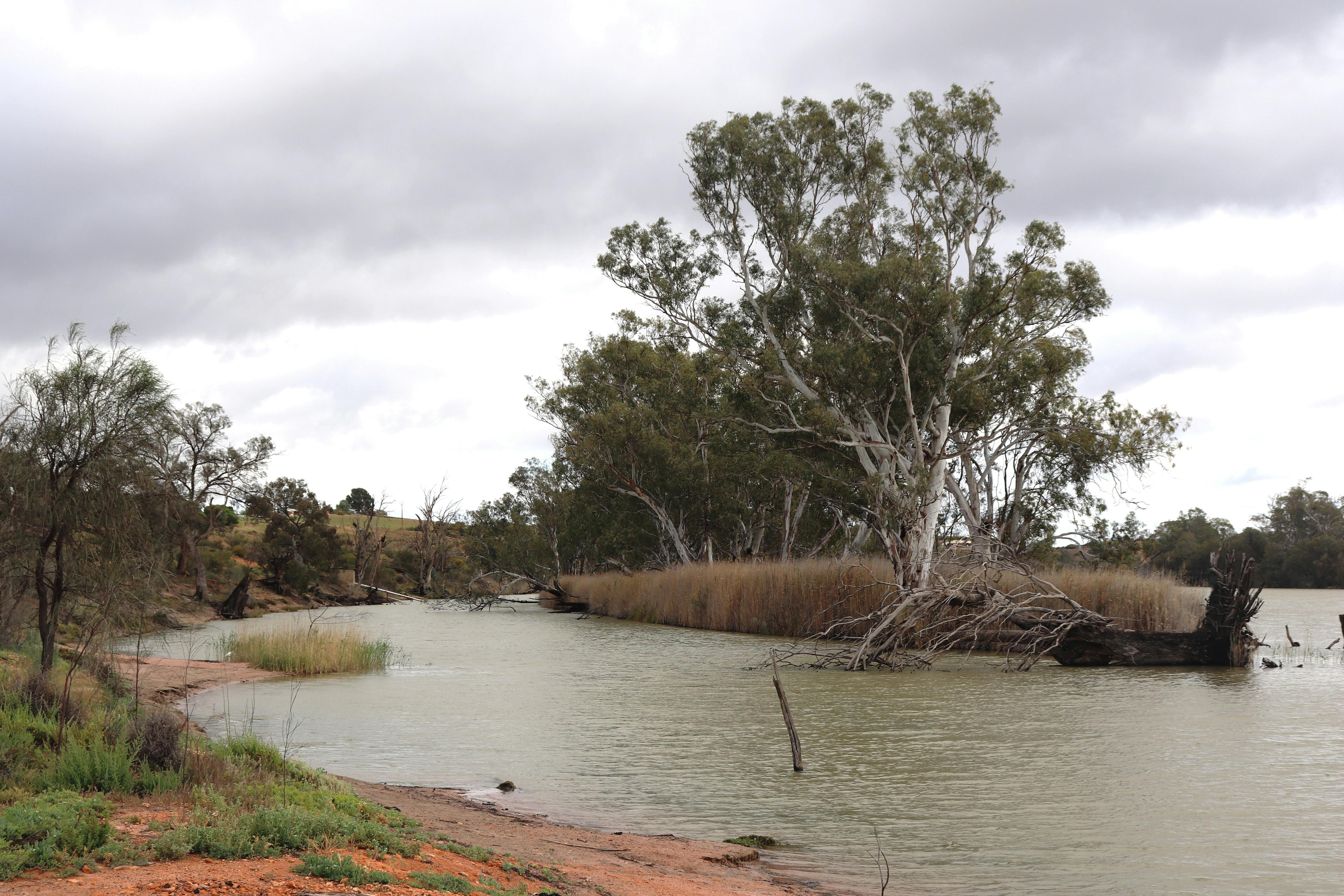Campsites overlook Formby's Island.