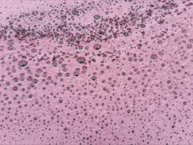 Wine ferment in action, a sea of pinot noir bubbles