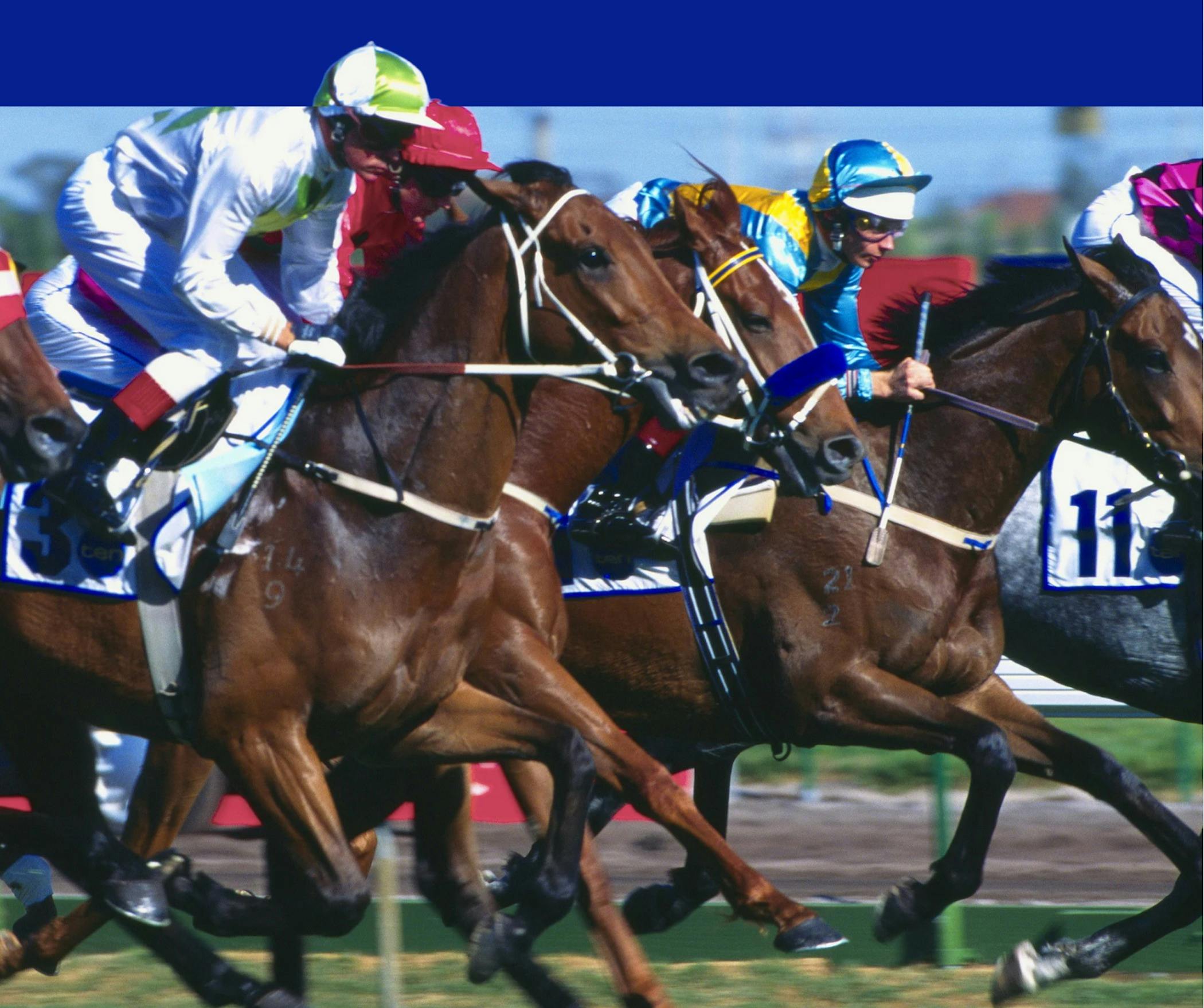 Melbourne Cup Day Lunch at 360Q