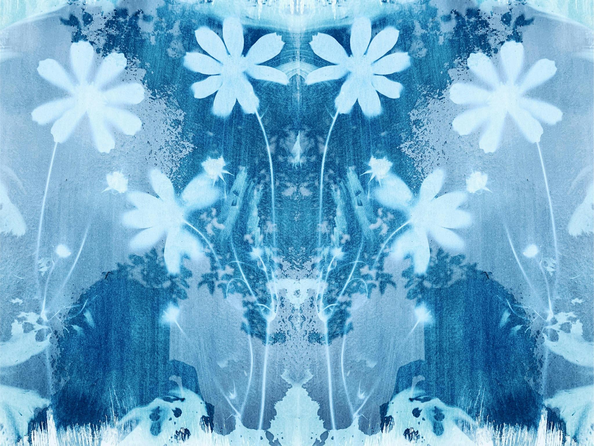 Floral Cyanotypes: Sunprints