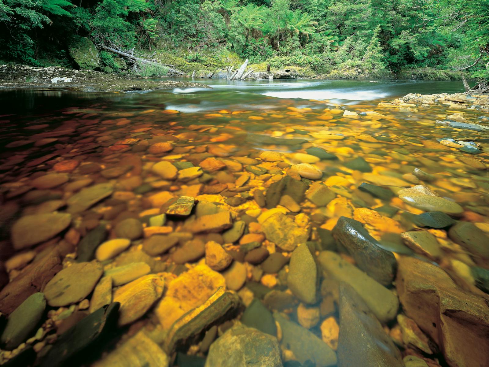 Rapid River in the takayna/Tarkine