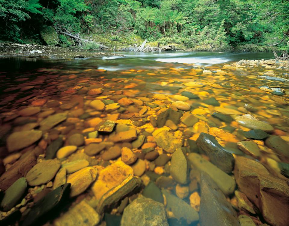 Tarkine Trails photo