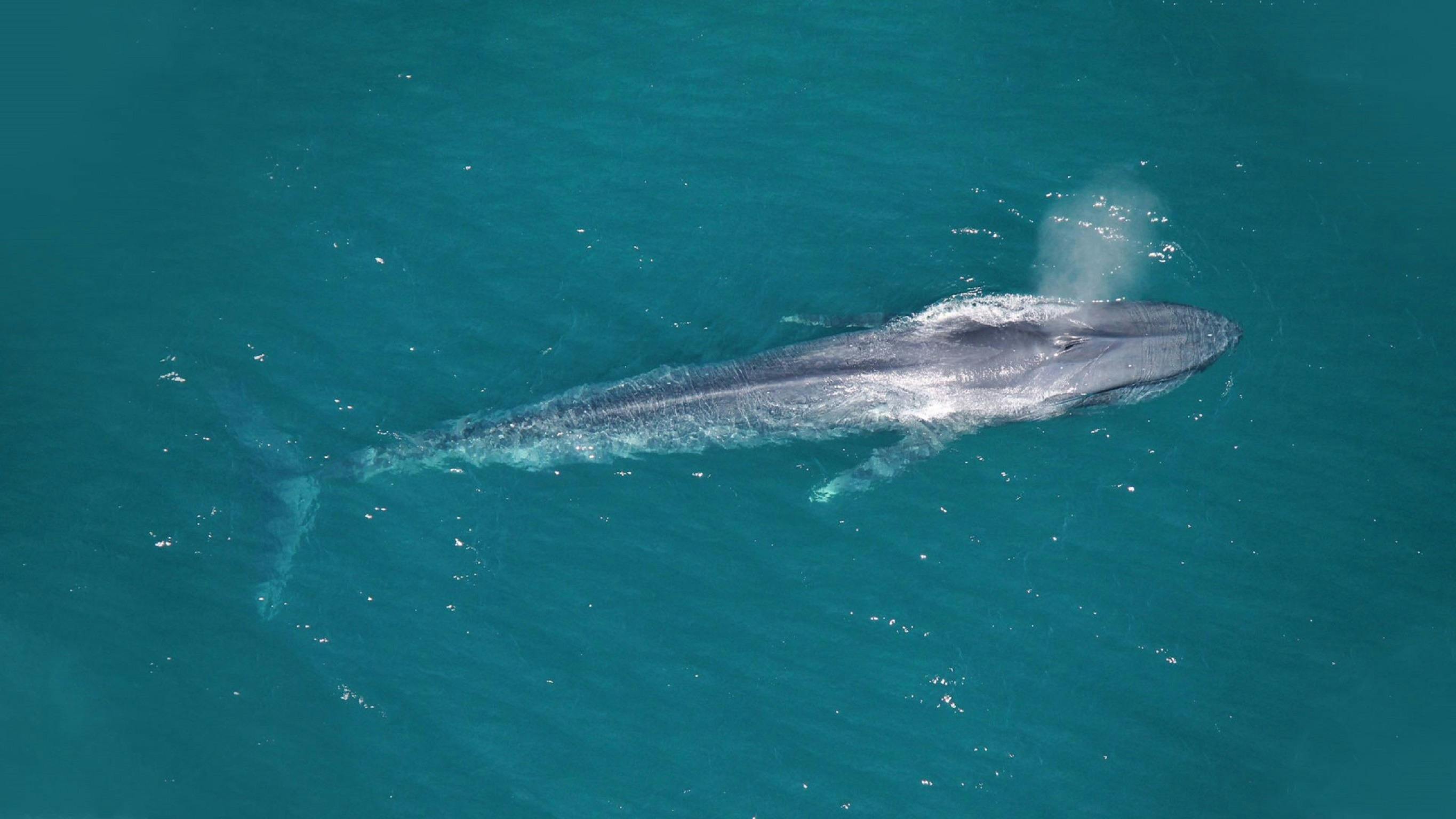 Birds Eye View, Exmouth, Western Australia