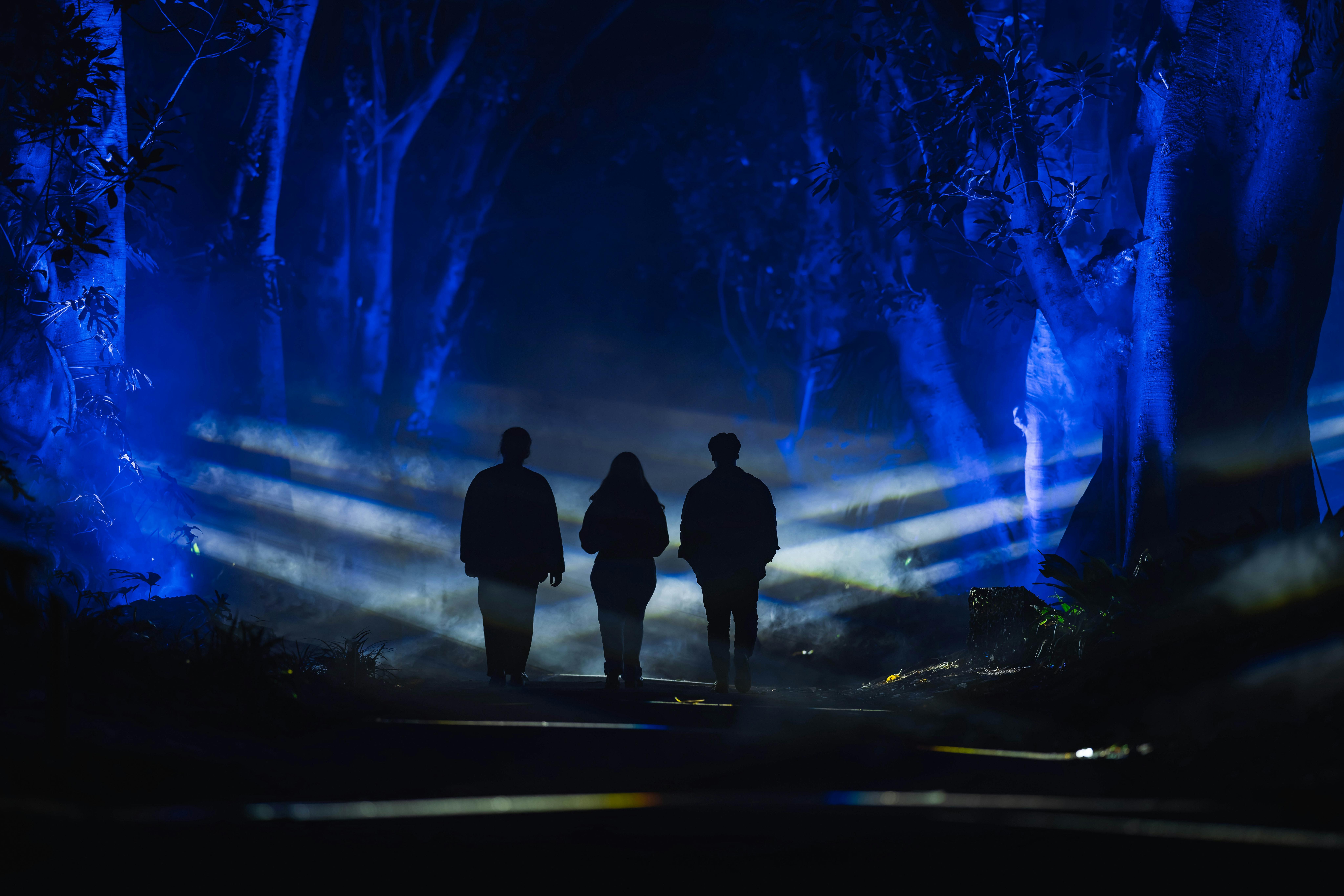Accessible Experiences | Illuminate Adelaide