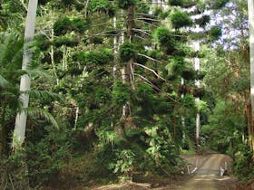 Way Way Creek Road Drive