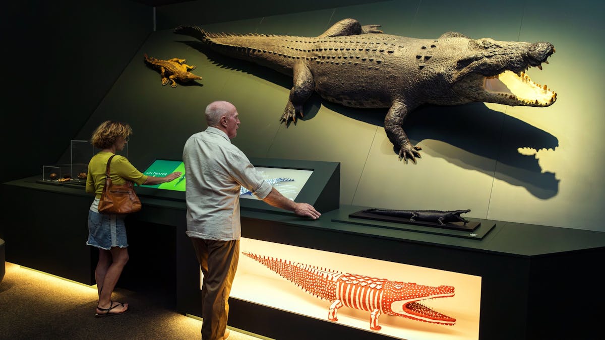 Two museum visitors observe a crocodile model mounted above a smaller crocodile artwork Two museum visitors observe a crocodile model mounted above a smaller crocodile artwork