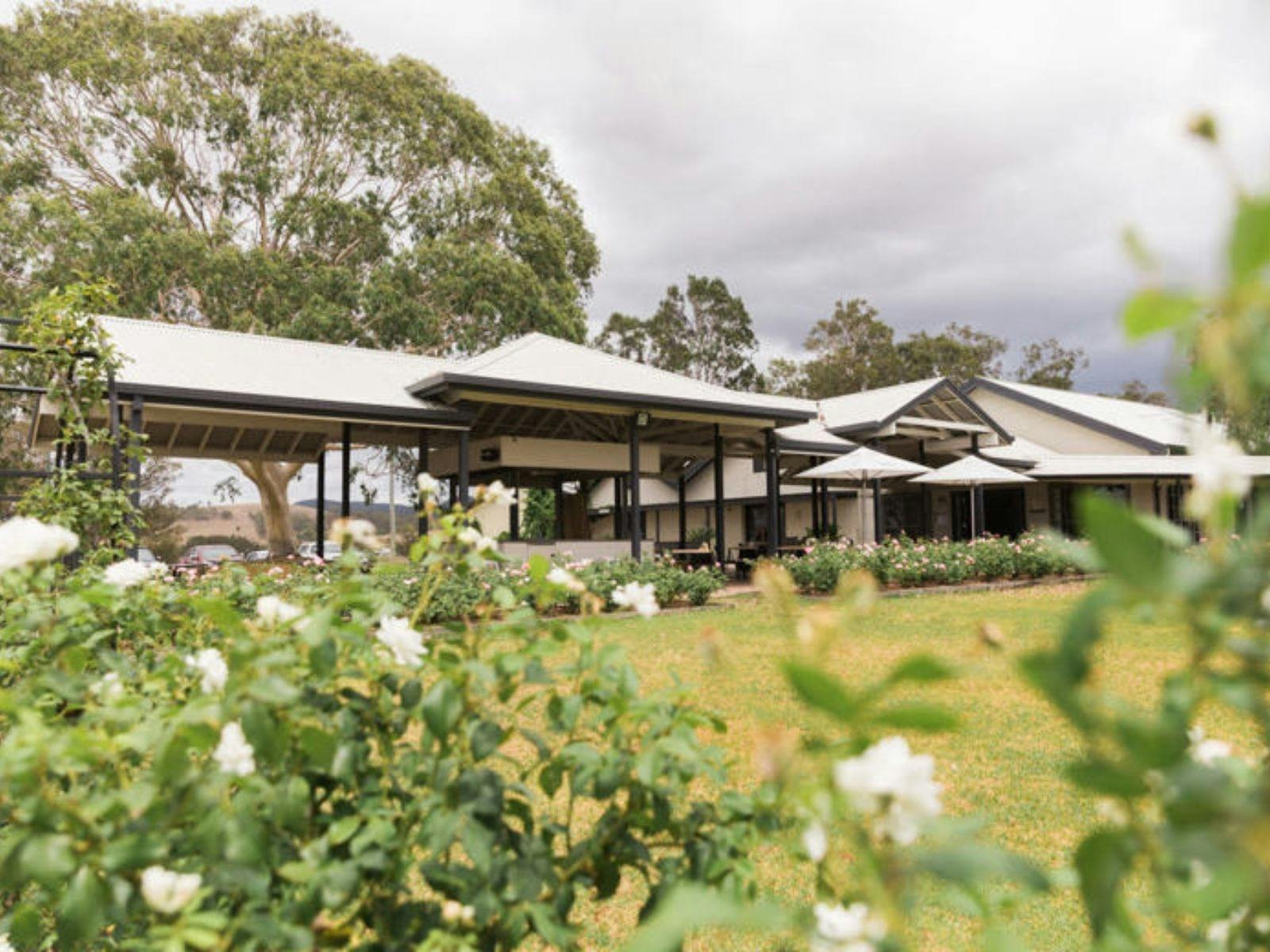 로터 원과 함께하는 윈우드 에스테이트의 트와인 레스토랑으로 가는 헬리 플라이트