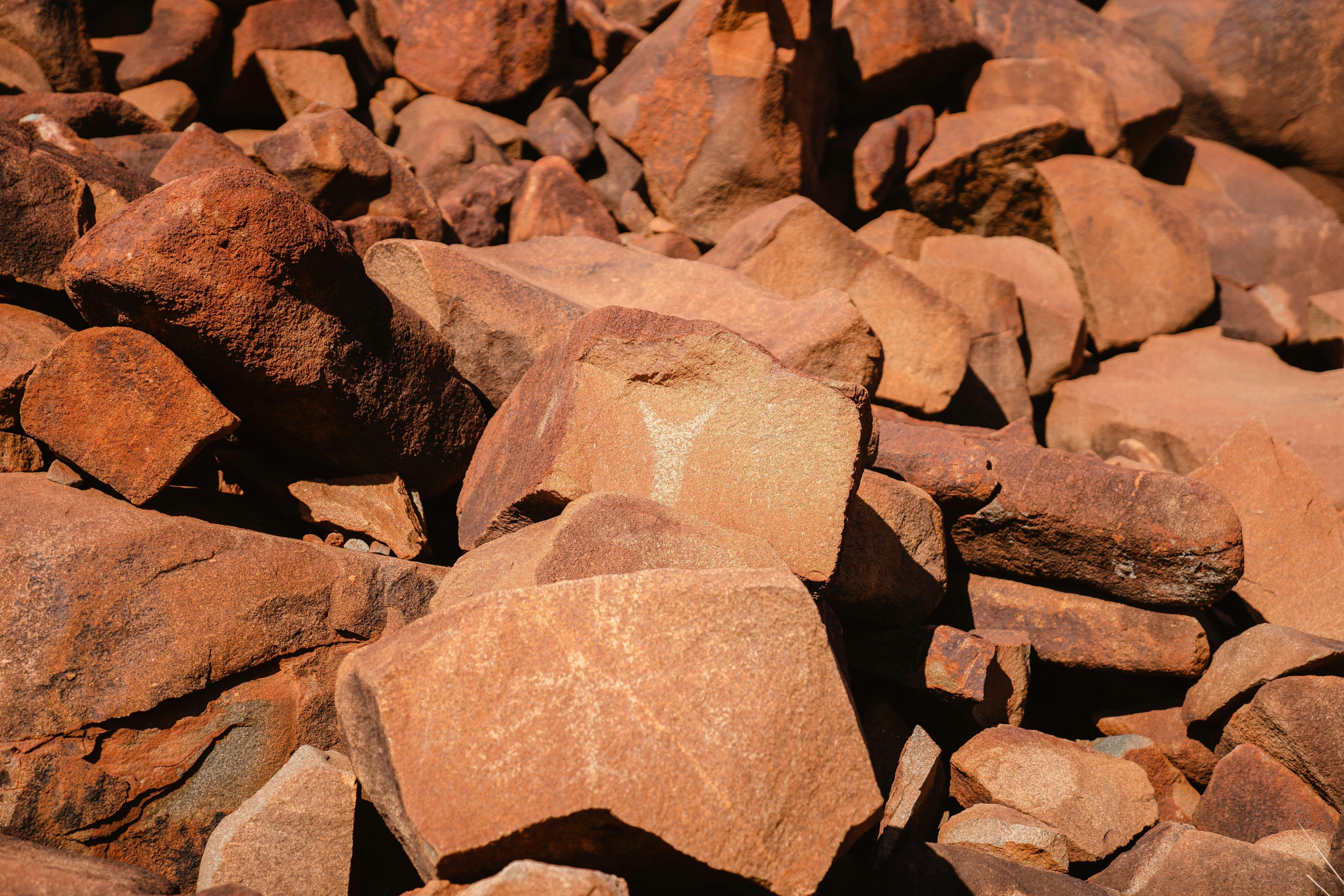 Guided Tour to see ancient Rock Art Murujuga National Park