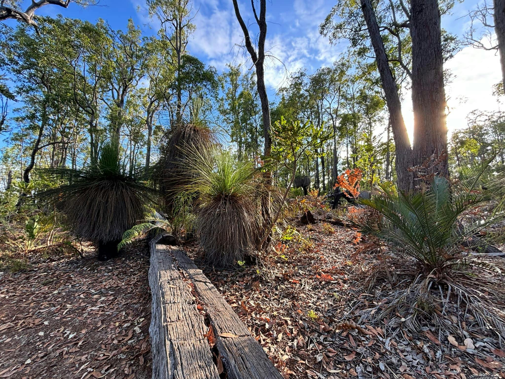Island Pool Walk Trail, Lane Poole Reserve