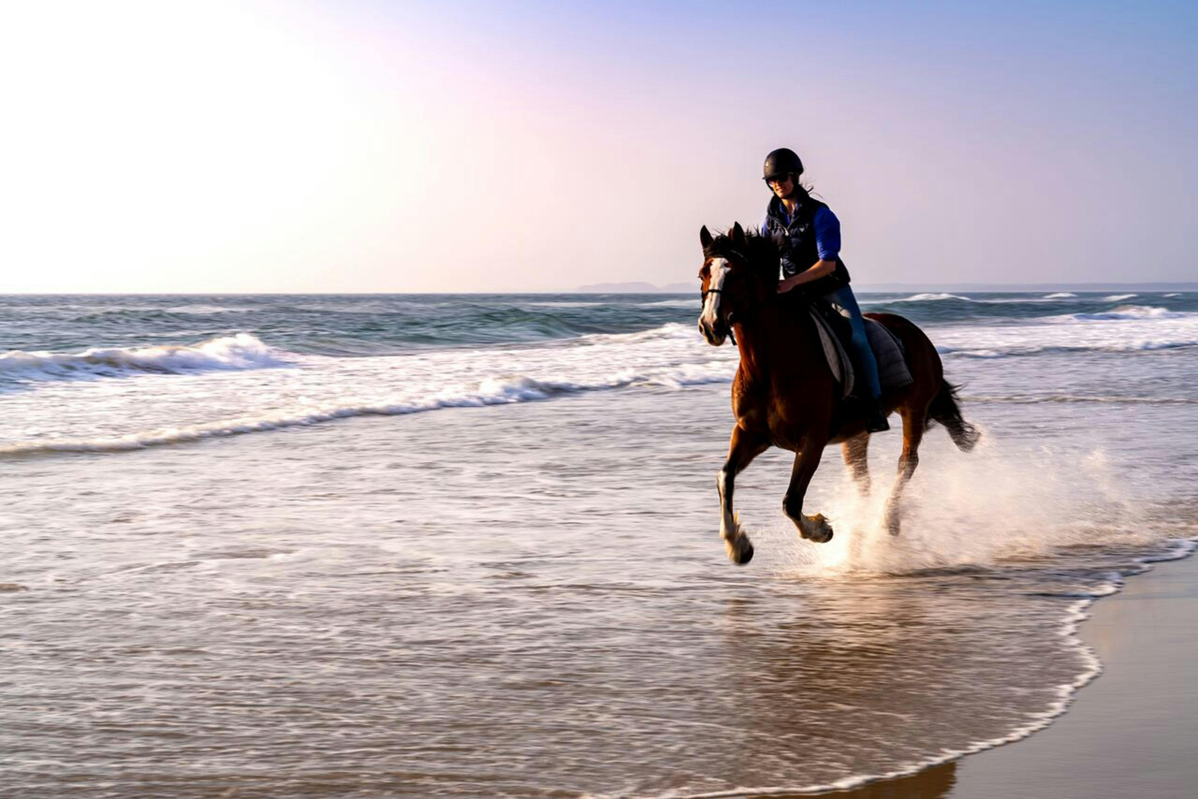 beach canters, 7 mile beach, shoalhaven heads, horses at the beach, horses swimming,
