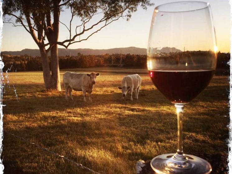 Thelma and Lousie at Lucy's Run Wines