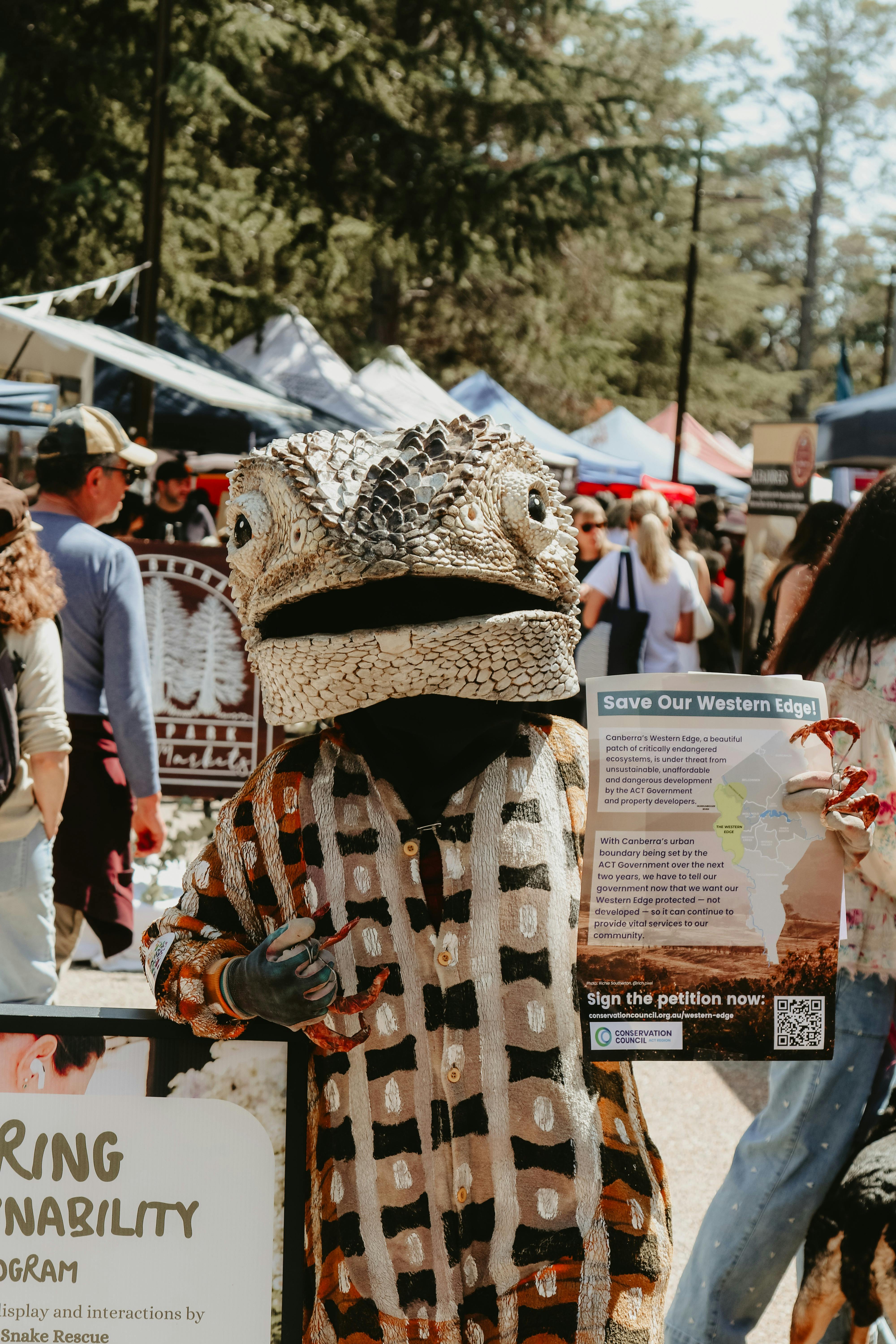 An image of a person dressed up as a Lizard at the Haig Park Village Markets