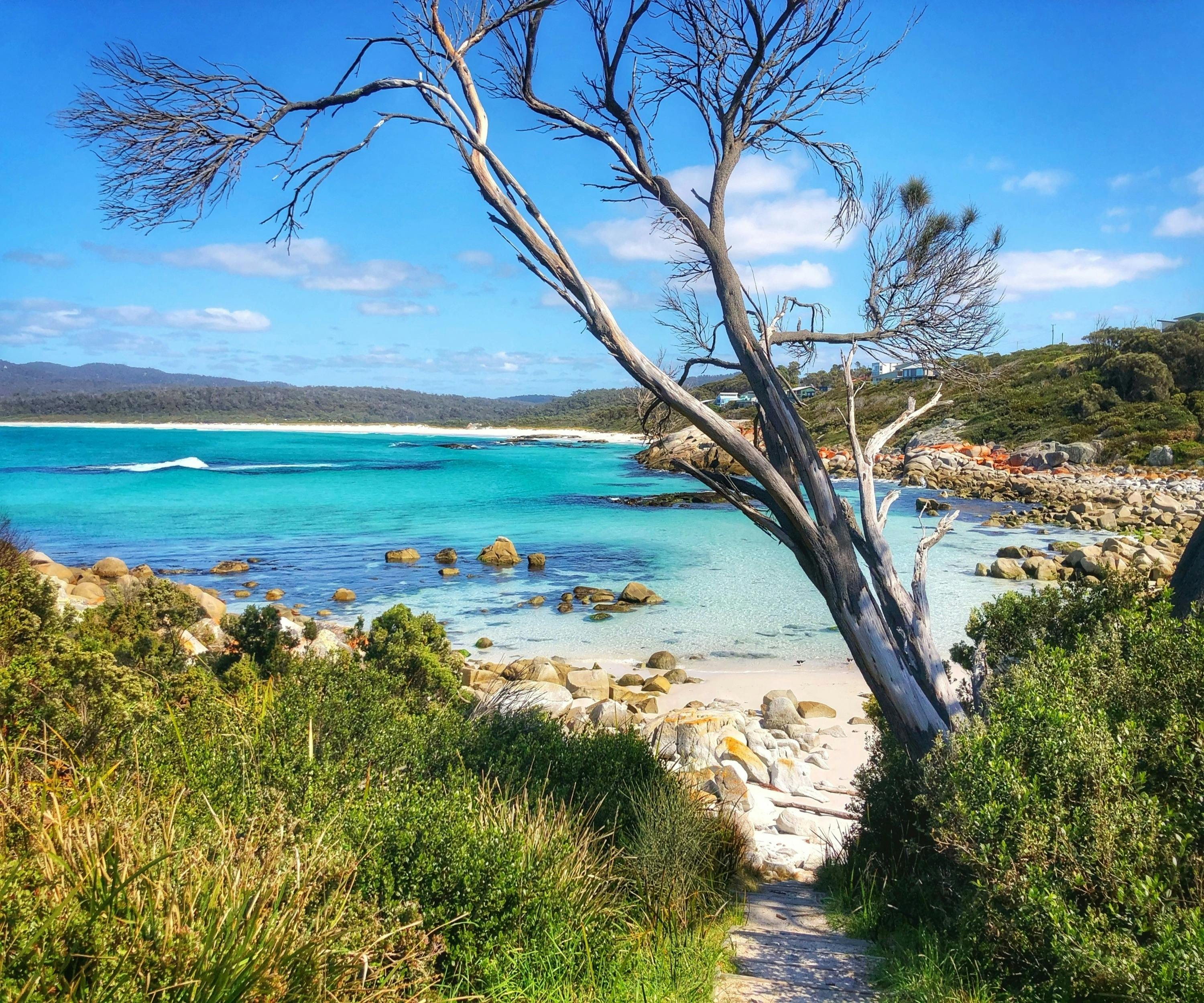 View of Bay of Fires