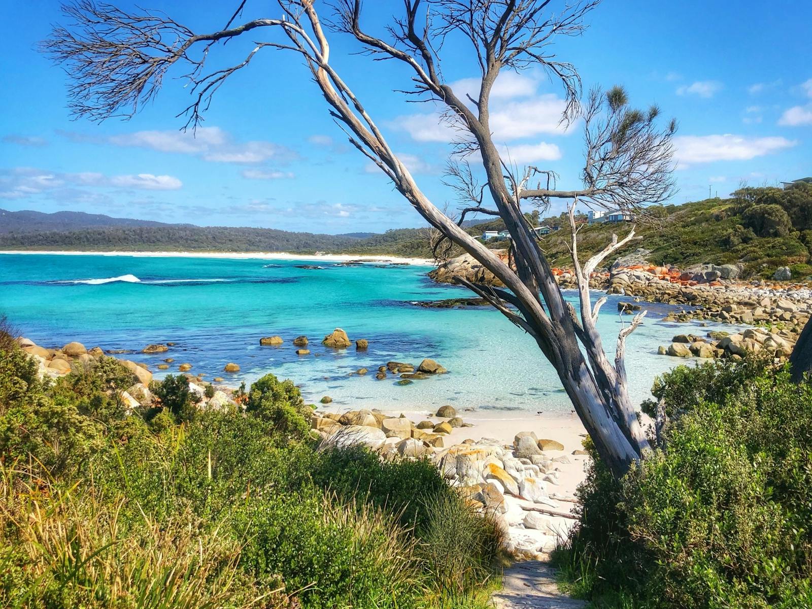 View of Bay of Fires