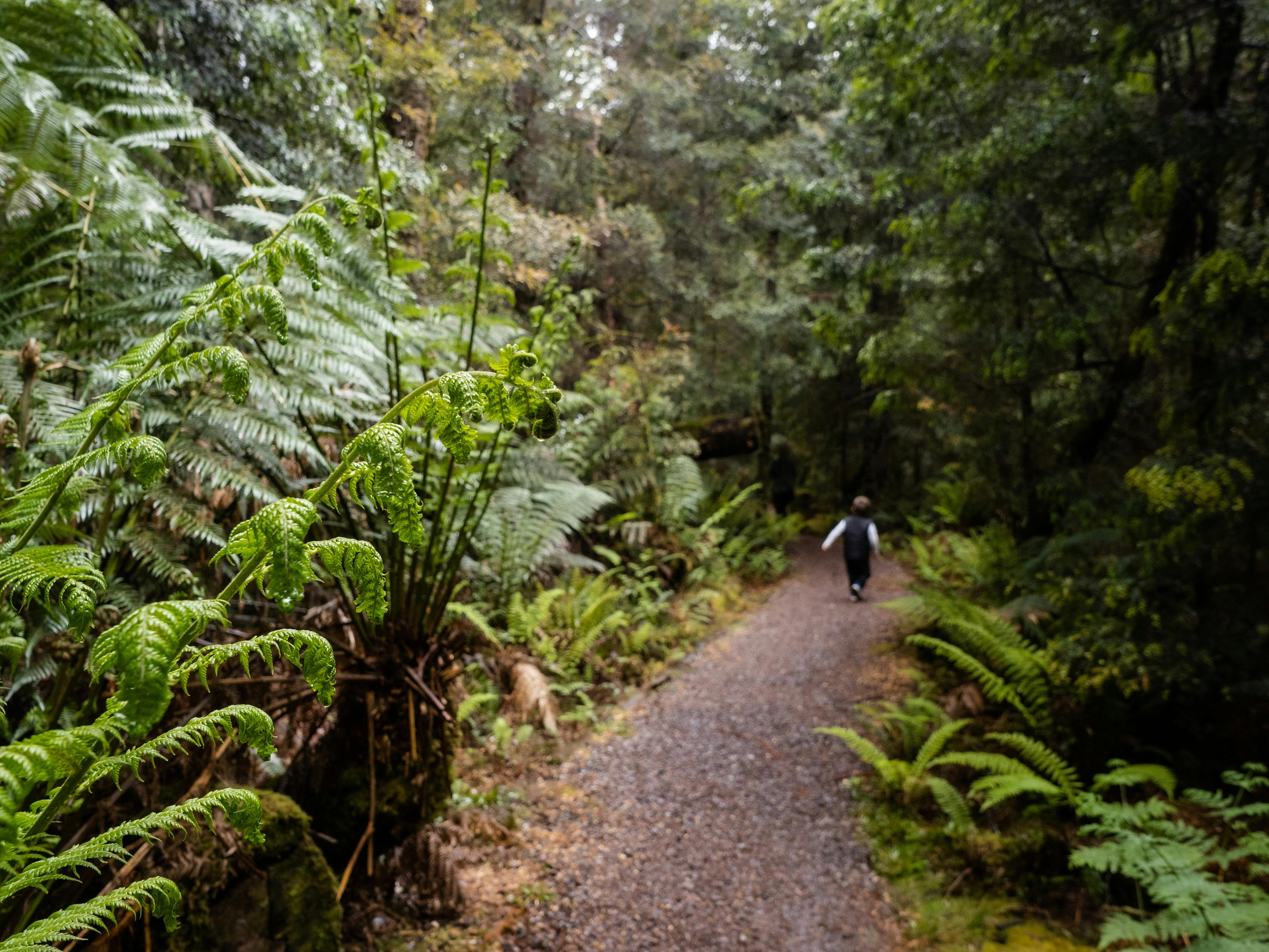 Franklin Nature Trail - Great Short Walk