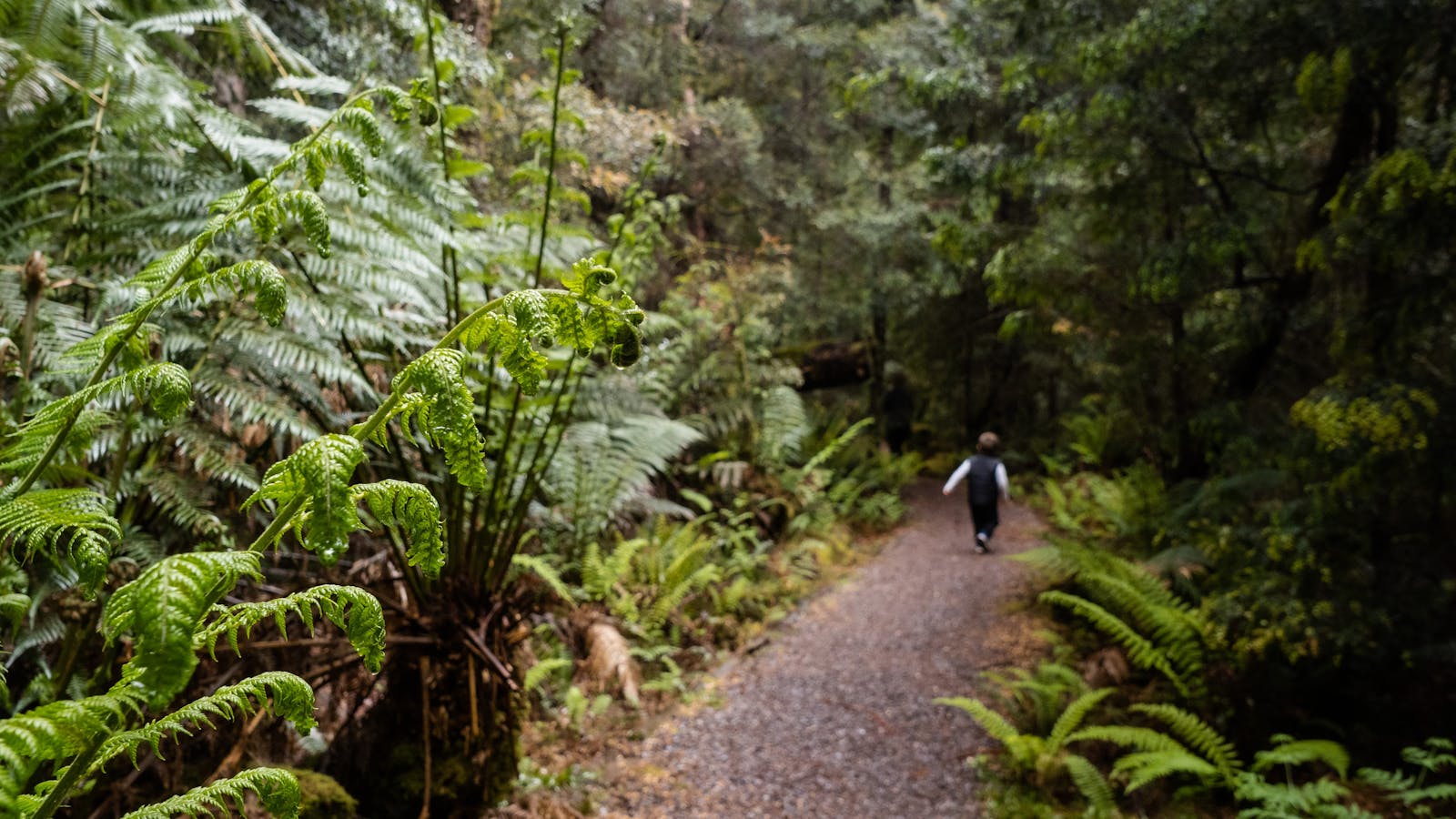 Franklin Nature Trail - Great Short Walk
