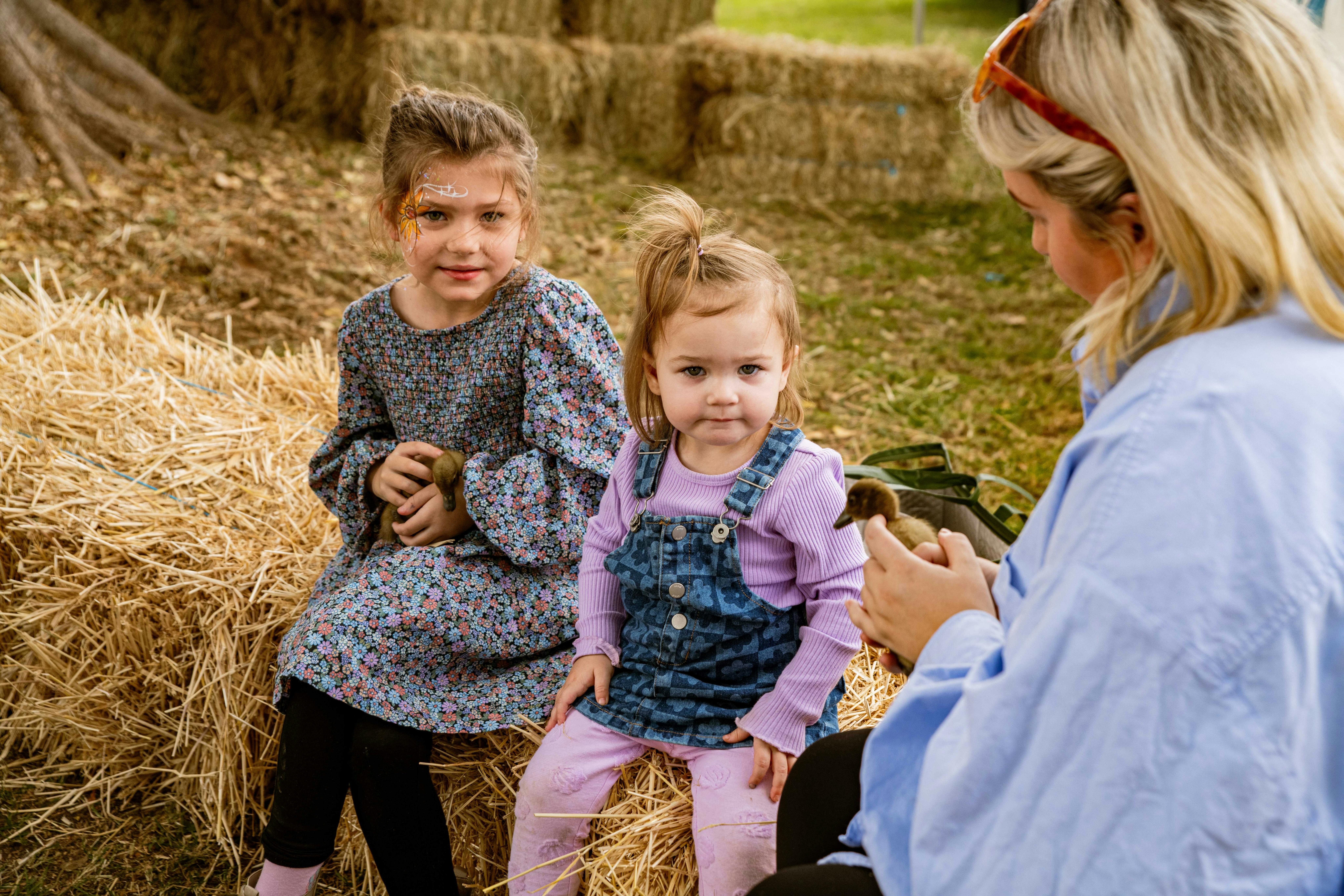 Scenic Rim's Winter Harvest Festival
