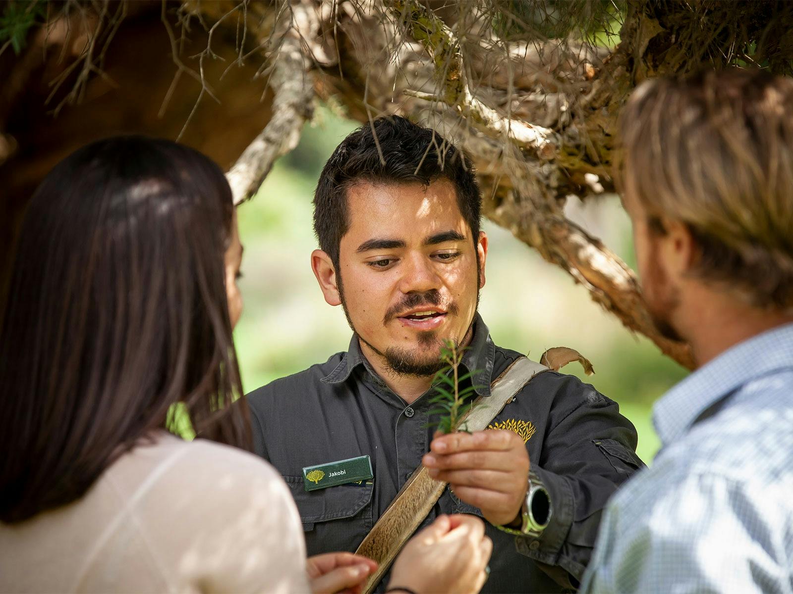 Aboriginal Culture & Australian Highlights