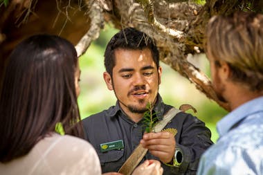 Aboriginal Culture & Australian Highlights