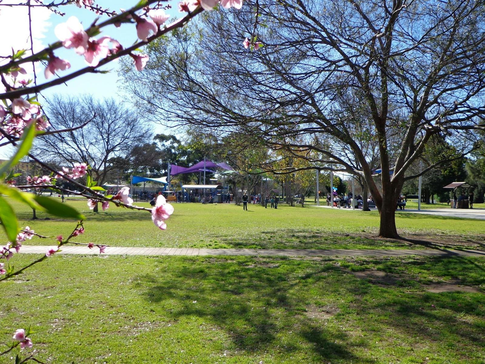 越谷公園 Campbelltown NSW