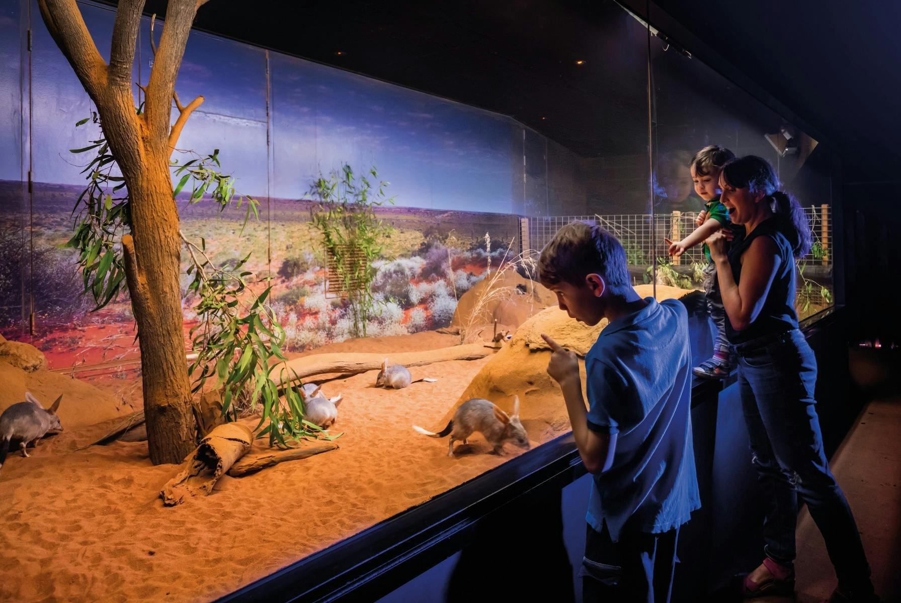 Animal Encounters at Ipswich Nature Centre