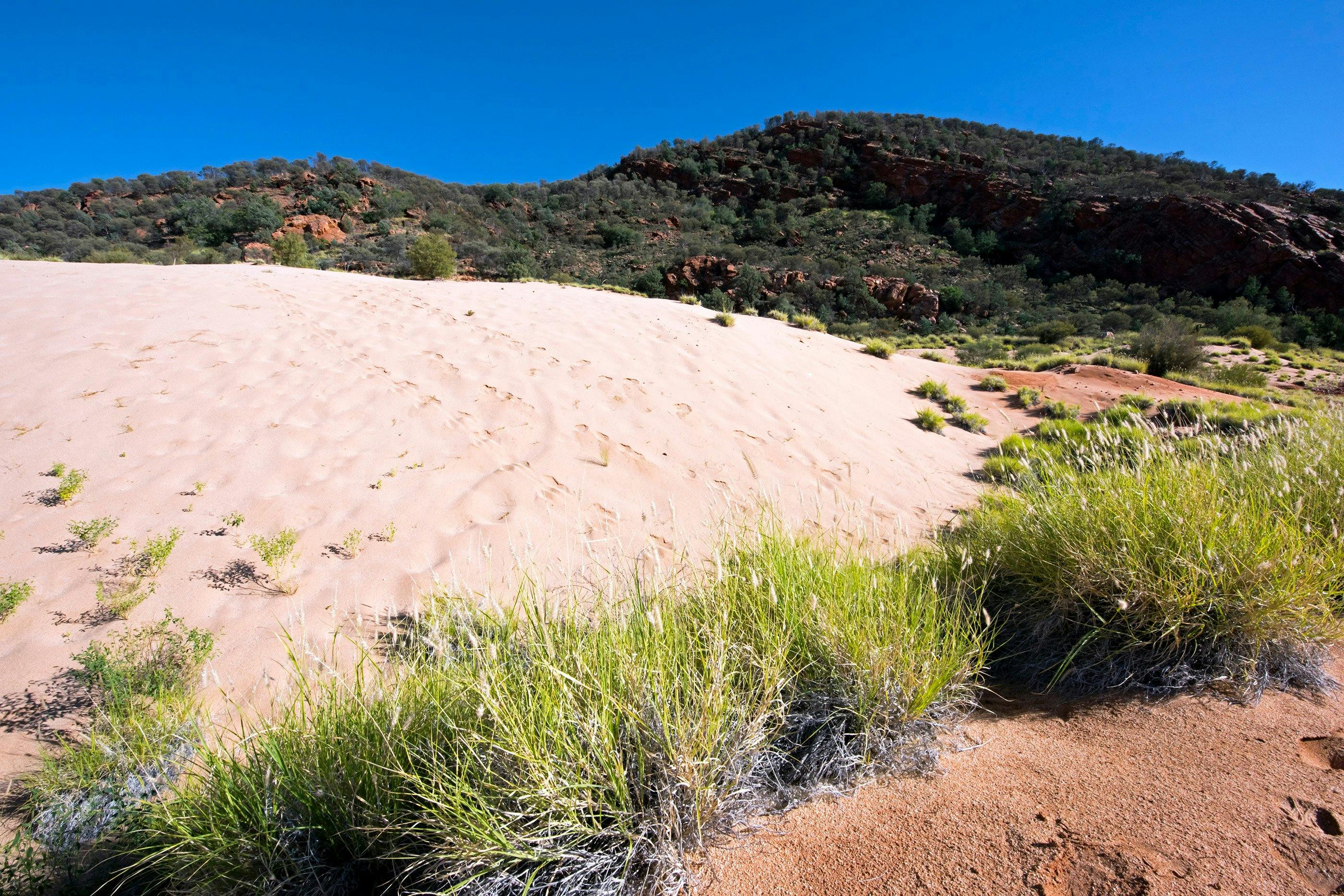 Climbing Dune Jesse Emily Gap