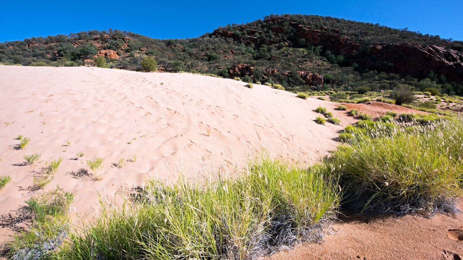 Climbing Dune Jesse Emily Gap