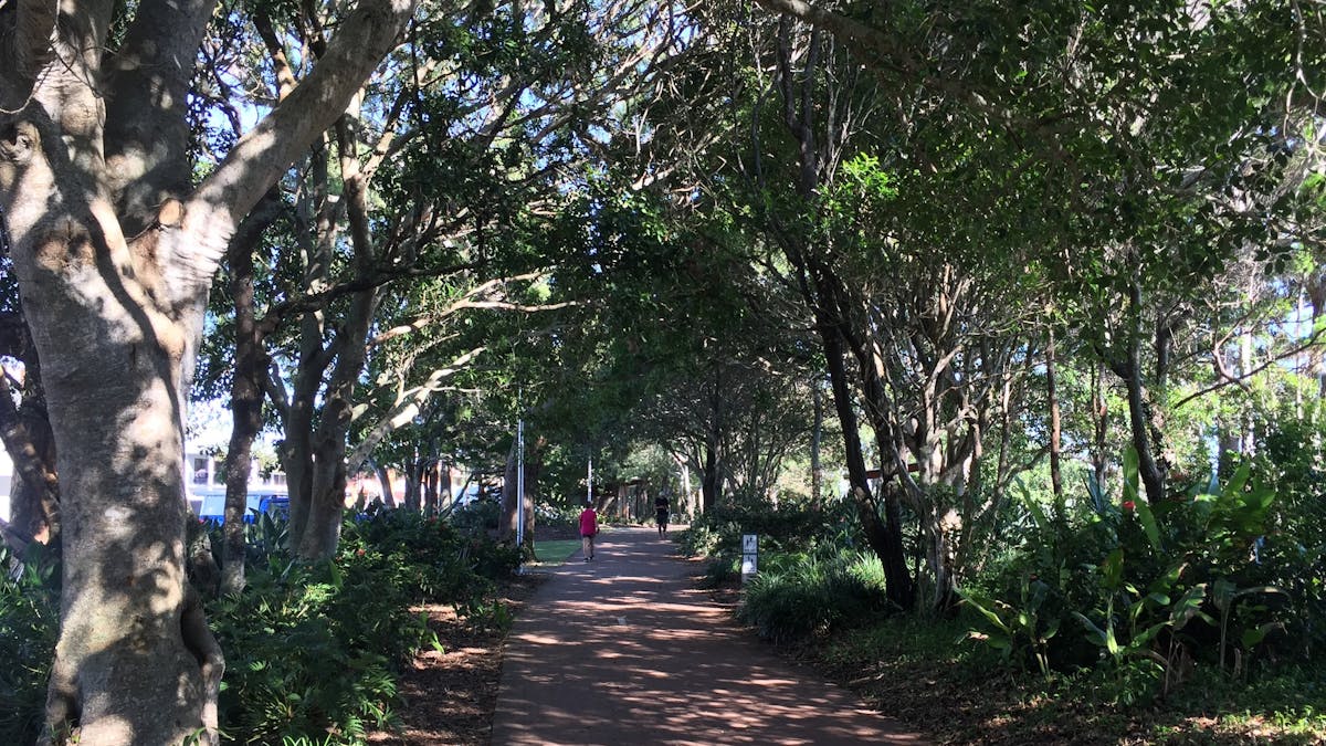 photo showing part of the Hervey Bay coastal bikepath running through trees and gardens