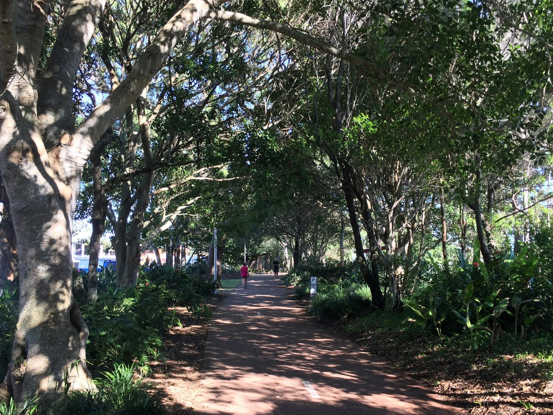 photo showing part of the Hervey Bay coastal bikepath running through trees and gardens