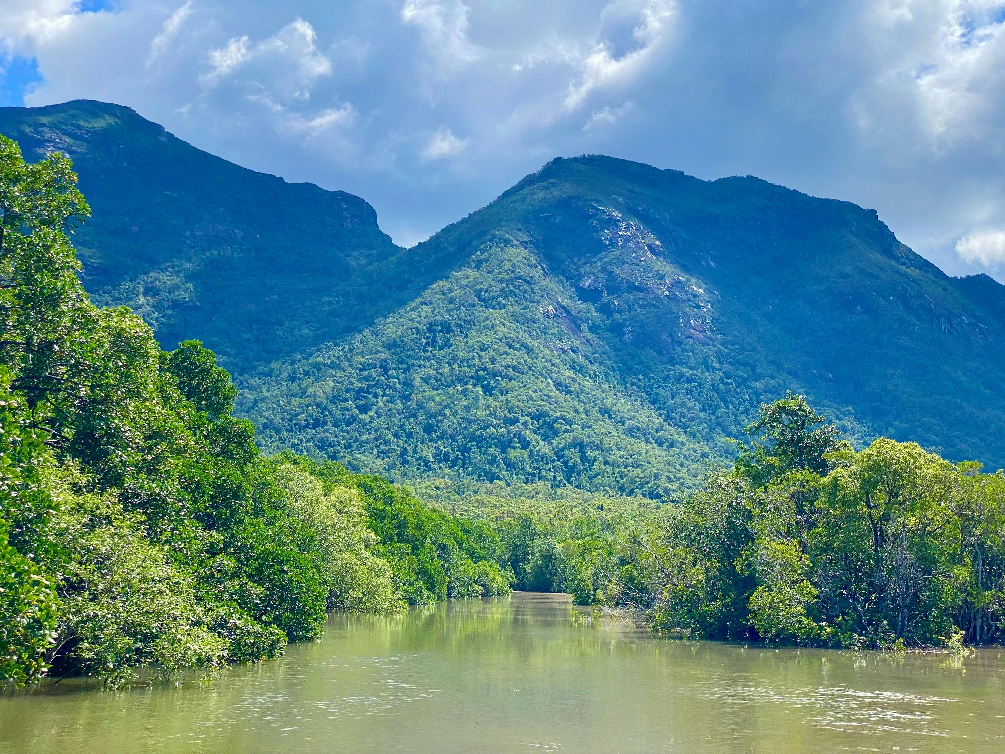 Hinchinbrook mountains riseing above the mangroves over 900 m high, the backbone of the Island