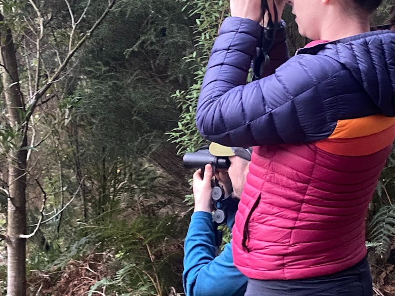 At the river bank looking for the elusive platypus