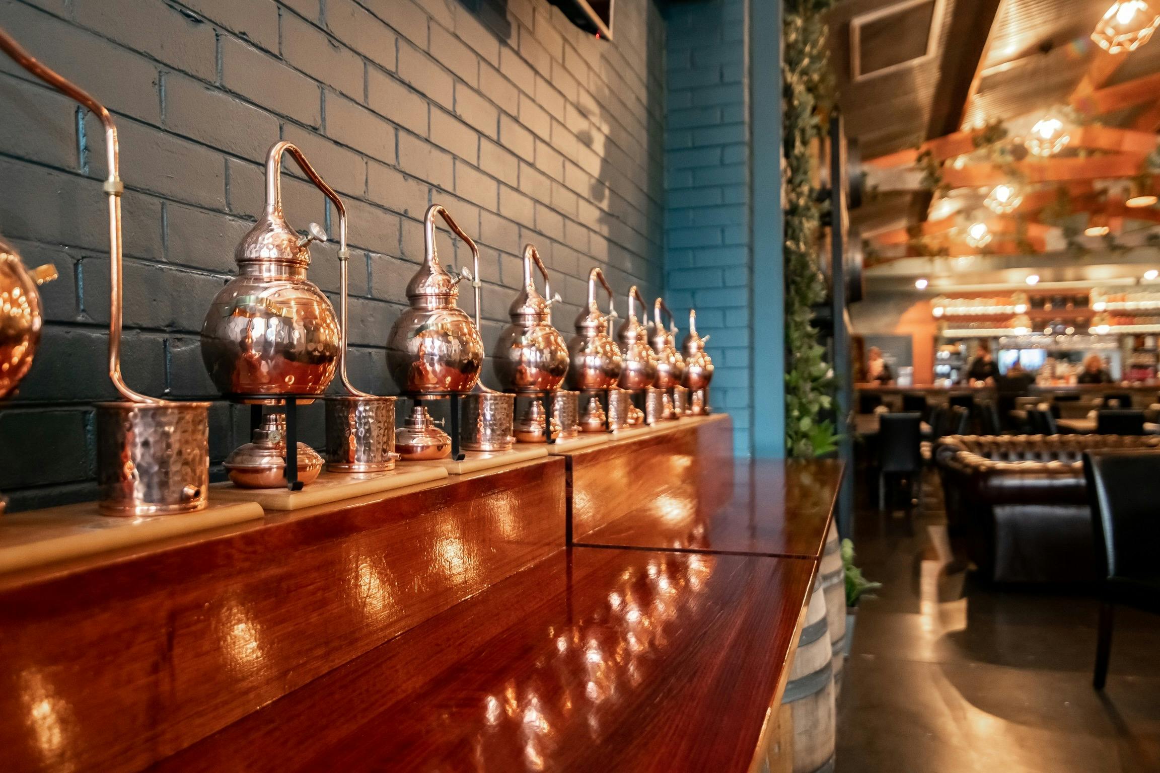 Taste and learn about making Gin