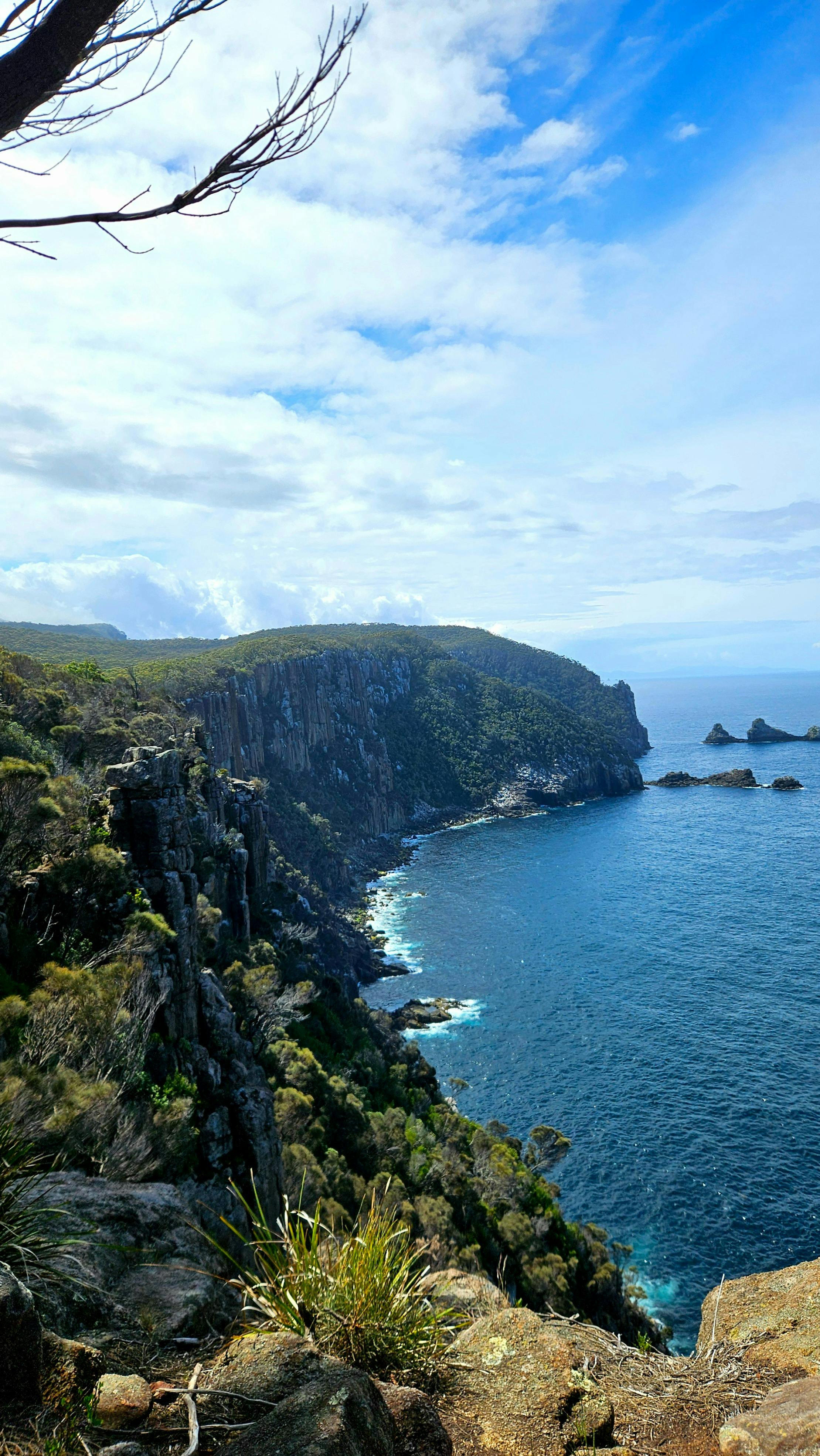 Panoramic coastline views on the Three Capes Walk Tasmania featuring rugged cliffs and ocean