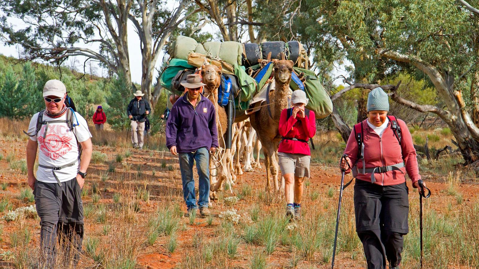 Remote Northern Flinders Camel Trek
