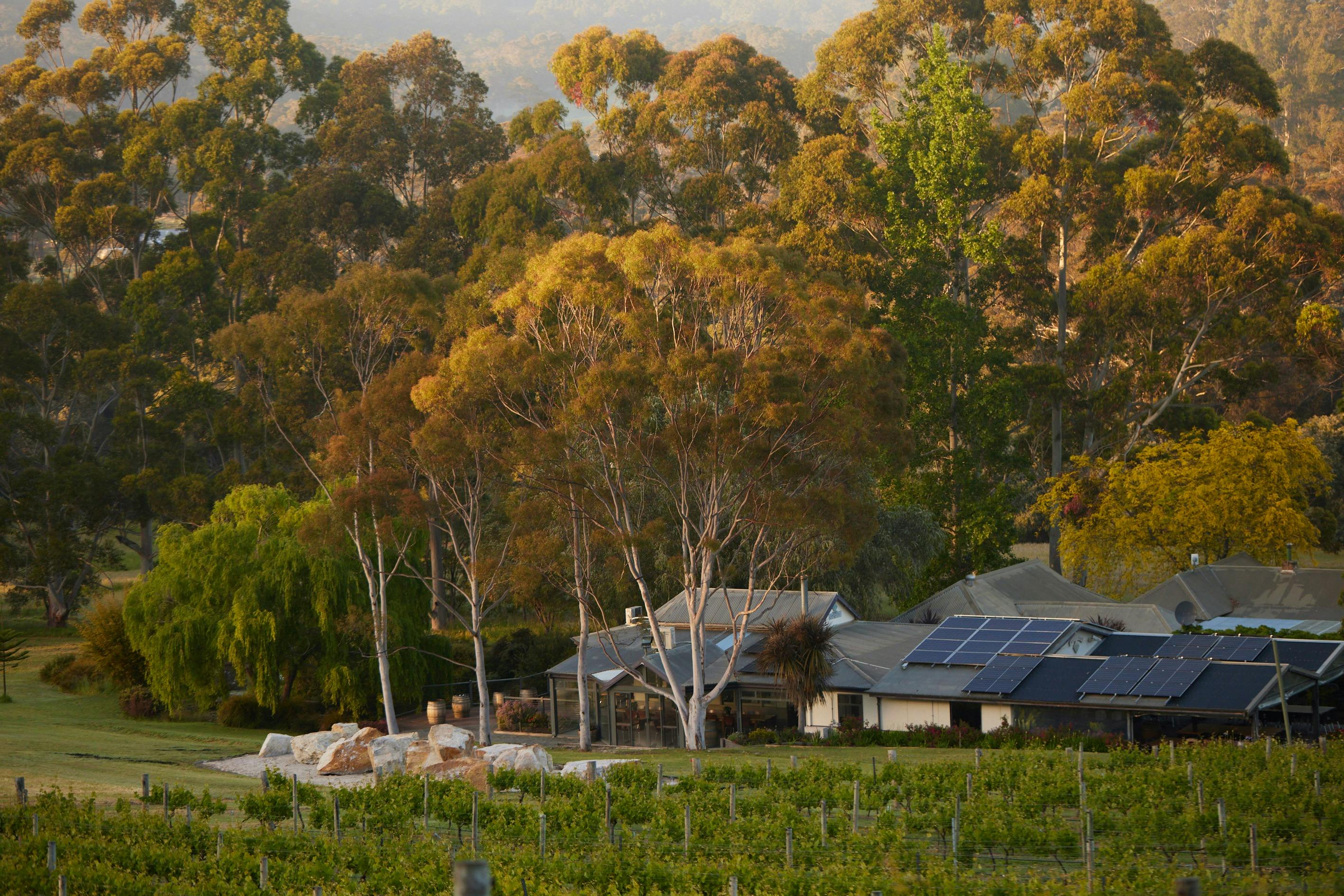 Rockcliffe Winery