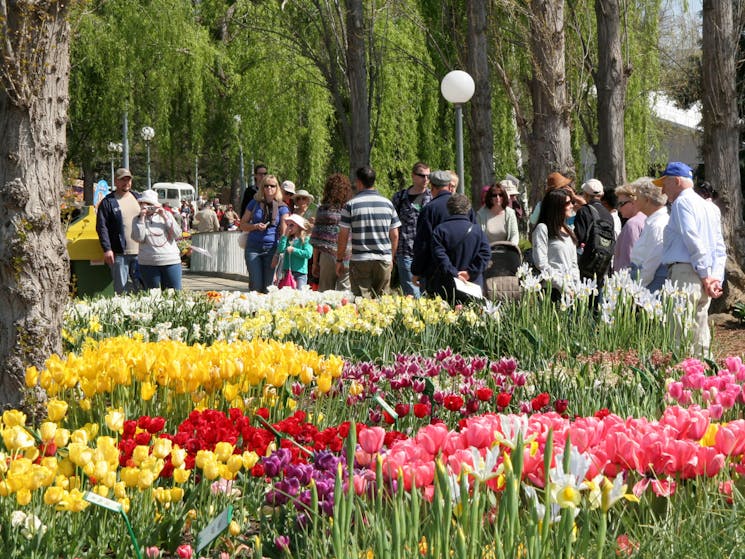 Floriade Canberra