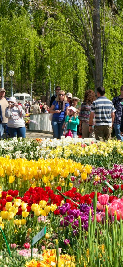 Floriade Canberra