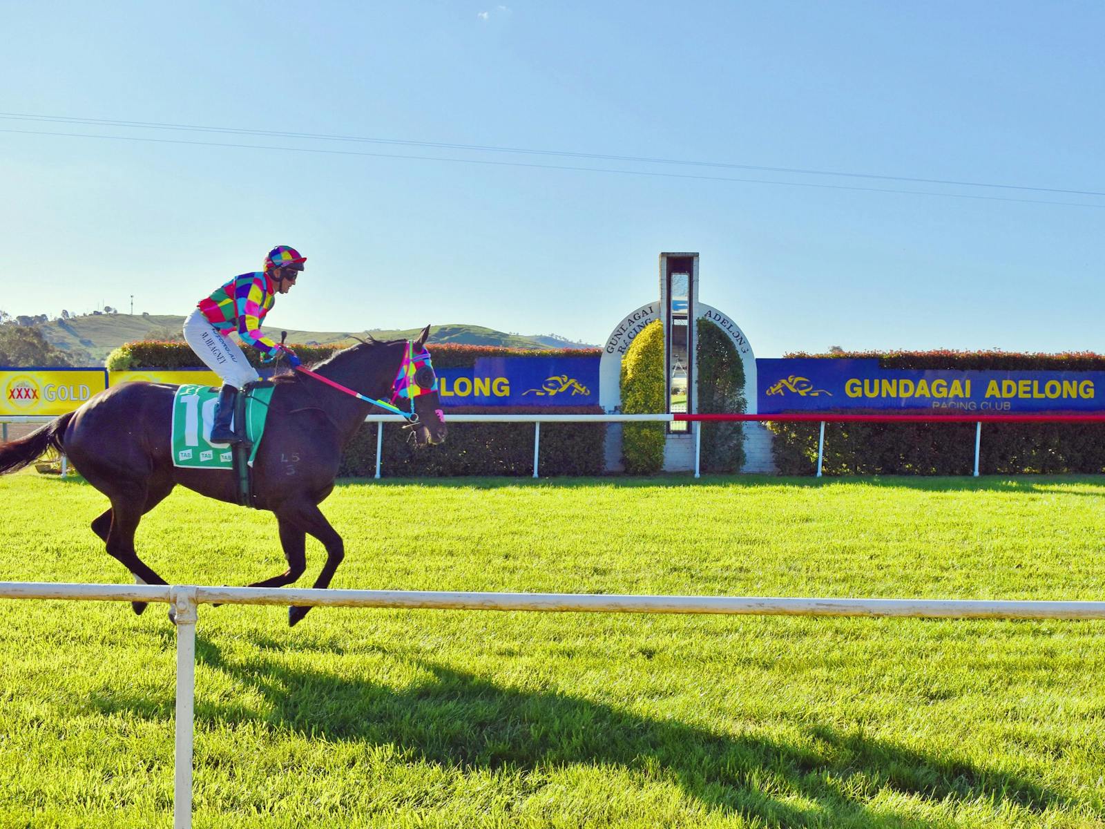 Image for Gundagai's New Years Day Races
