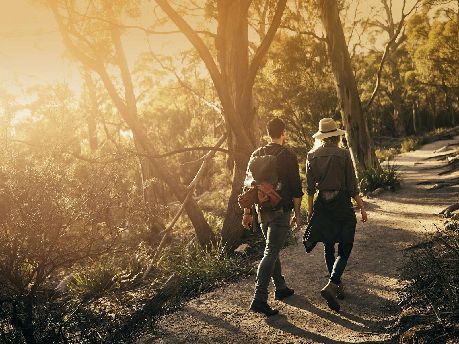 A tree-lined pathway with a couple walking alongside a setting Tasmanian sun
