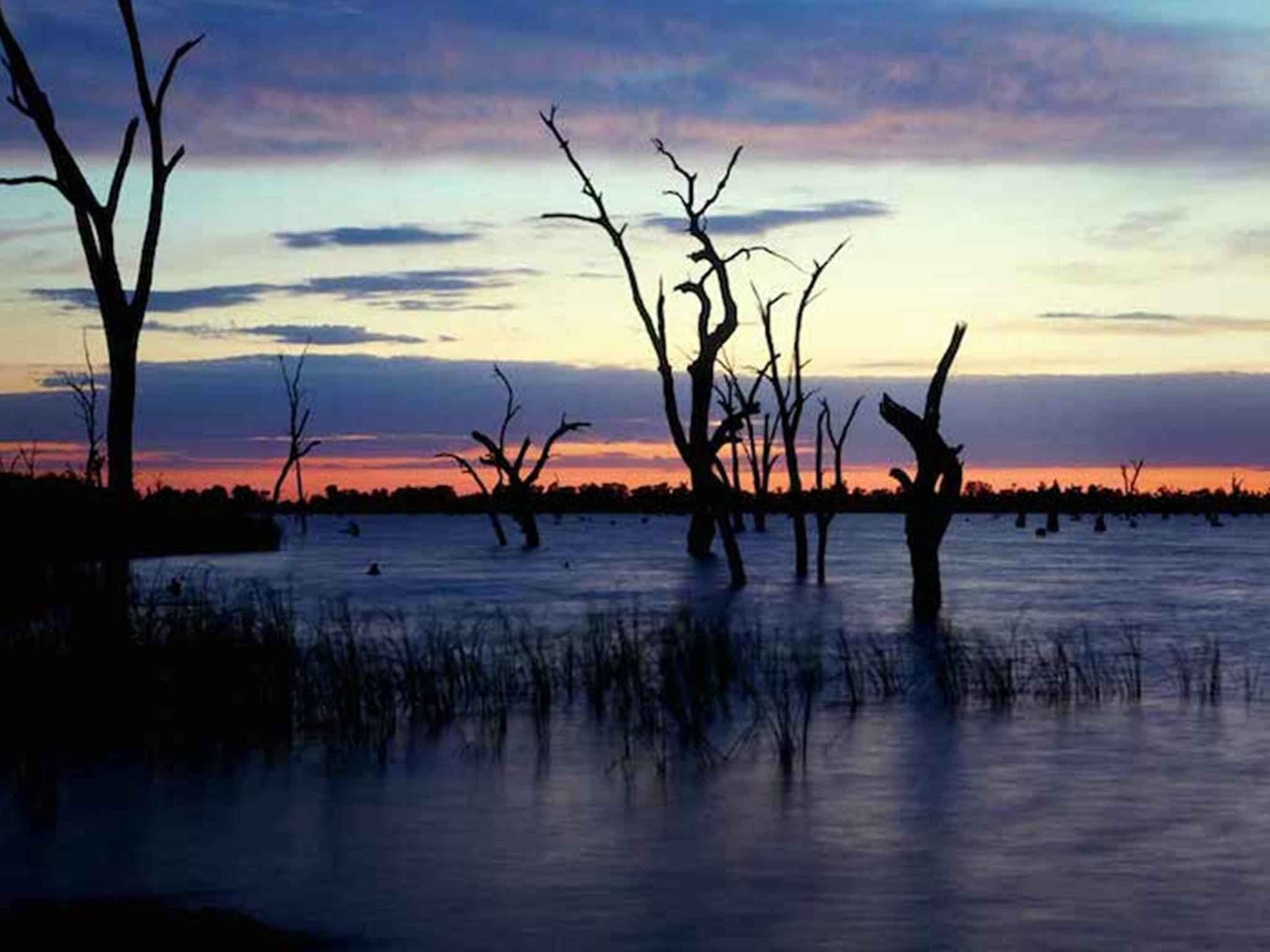 BIG4 NRMA Yarrawonga Mulwala Holiday Park